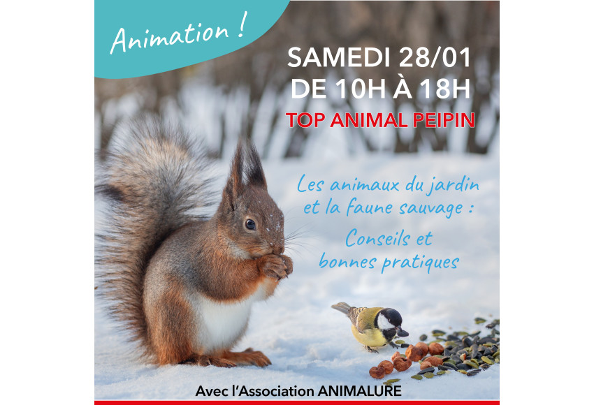 ANIMATION - FAUNE SAUVAGE ET ANIMAUX DU JARDIN
